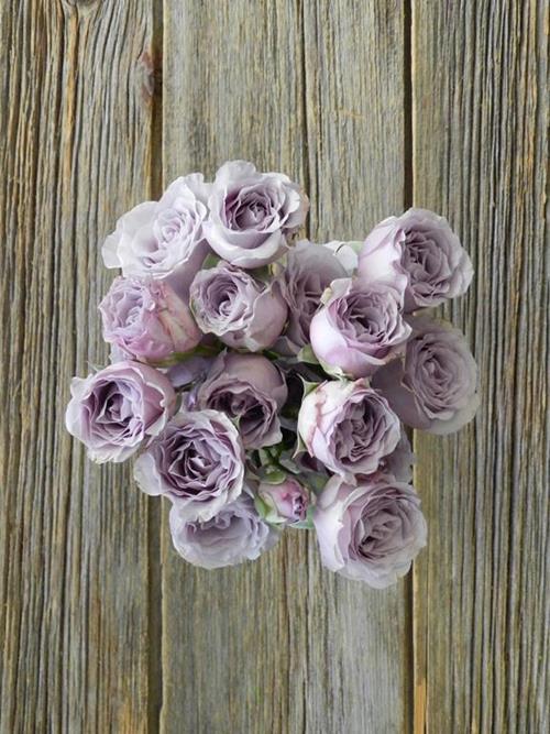 SILVER MIKADO  LT LAVENDER SPRAY ROSES